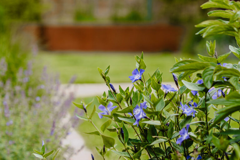 ML-GartenPlus_Galabau-Coesfeld_Artikel-quadratisch_Bepflanzung_01