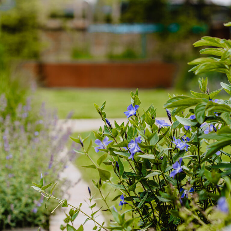 ML-GartenPlus_Galabau-Coesfeld_Artikel-quadratisch_Bepflanzung_01