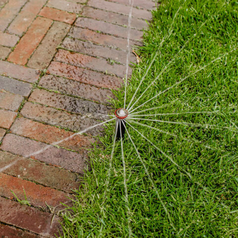 ML-GartenPlus_Galabau-Coesfeld_Artikel-quadratisch_Bewaesserung_01