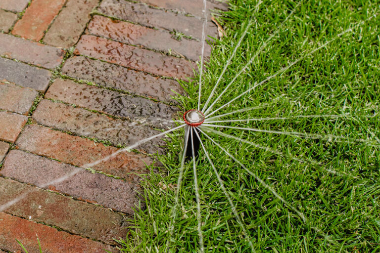 ML-GartenPlus_Galabau-Coesfeld_Artikel-quadratisch_Bewaesserung_01