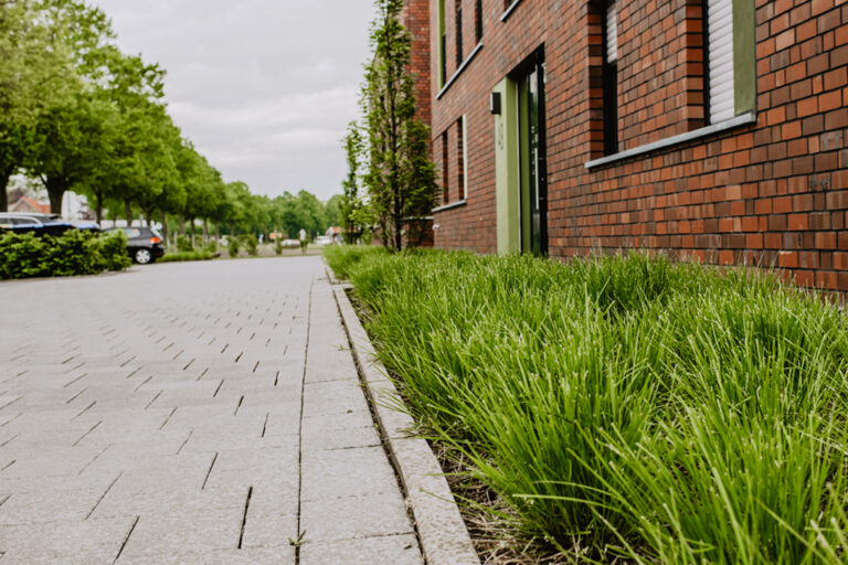 ML-GartenPlus_Galabau-Coesfeld_Artikel-quadratisch_Firmengarten_01