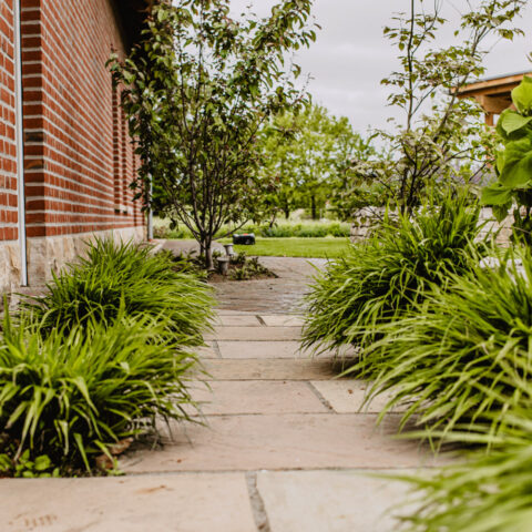 ML-GartenPlus_Galabau-Coesfeld_Referenzen_Landhaus_Borken_Wegebau_Detail