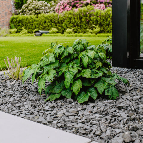 ML-GartenPlus_Galabau-Coesfeld_Referenzen_Neubaugarten_Rosendahl-Holtwick_Detail