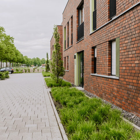 ML-GartenPlus_Galabau-Coesfeld_Referenzen_Parkplatzgestaltung_Coesfeld_Immergruen-Graeser