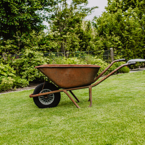 ML-GartenPlus_Galabau-Coesfeld_Referenzen_Umbaugarten_Coesfeld_Detail