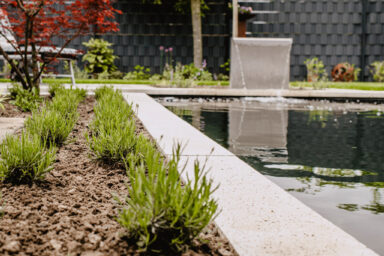 Wassergarten in Coesfeld