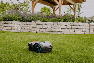 ml_gartenplus_blog_gartenpflege