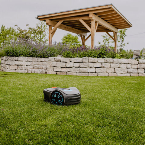 ml_gartenplus_blog_gartenpflege