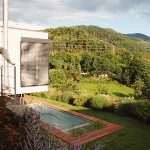 ML-GartenPlus_Galabau-Coesfeld_Naturpool_am_hang