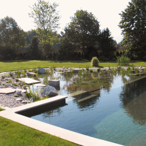 ML-GartenPlus_Galabau-Coesfeld_schwimmteich_großer_filter_pools_natur