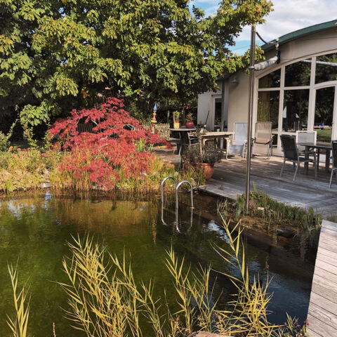 ML-GartenPlus_Galabau-Coesfeld_schwimmteich_mit_terasse
