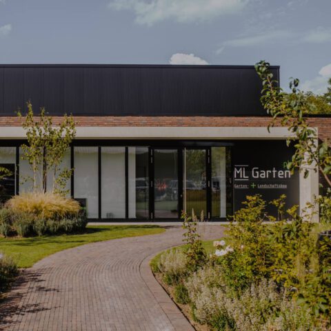 MLG+_blog_umgezogen2