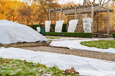 MLGartenplus_Blog_Gartenplege_im_Winter (1)