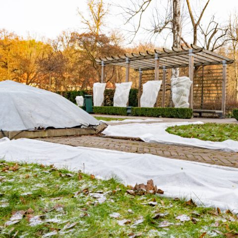 MLGartenplus_Blog_Gartenplege_im_Winter (1)