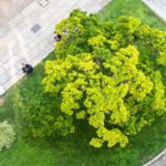 Biodiversität