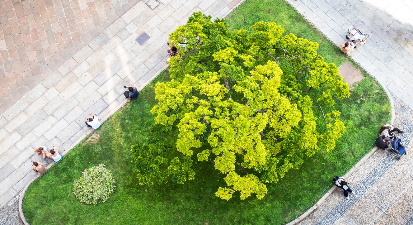 Biodiversität
