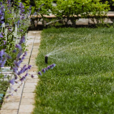 ML-GartenPlus_Galabau-Coesfeld_Referenzen-Garten-mit-Cortenstahlelementen-in-Coesfeld-Bewaesserung