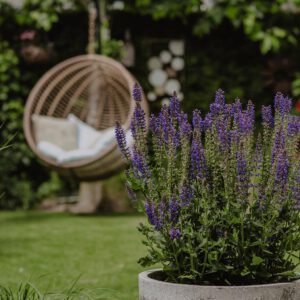 ML-GartenPlus_Galabau-Coesfeld_Referenzen-Garten-mitSchaukel-in-Coesfeld-Detail