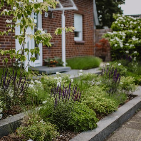 ML-GartenPlus_Galabau-Coesfeld_Referenzen-Vorgarten-mit-schwebenden-Platten-Beeteinfassung