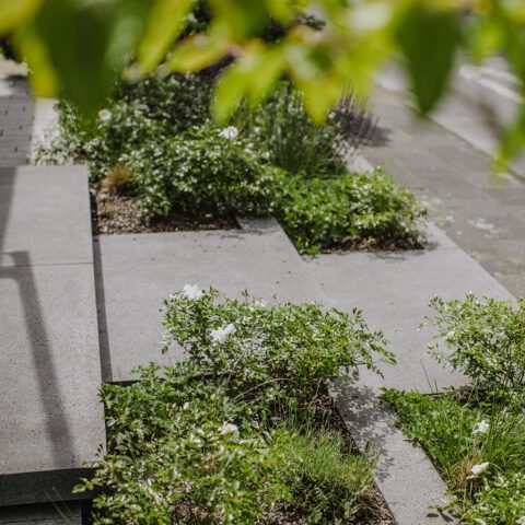 ML-GartenPlus_Galabau-Coesfeld_Referenzen-Vorgarten-mit-schwebenden-Platten-Detail