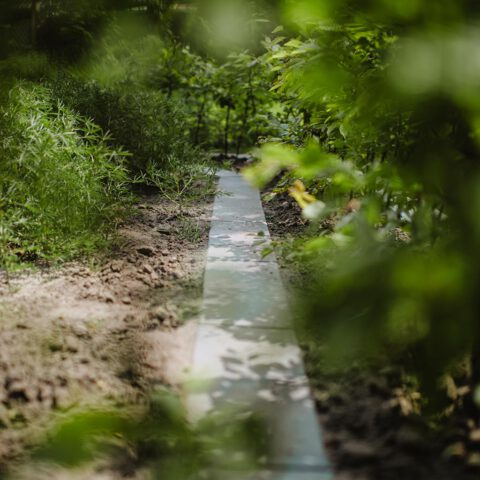 ML-GartenPlus_Galabau-Coesfeld_Referenzen_Hofgarten_Klinkerwege-Bepflanzung