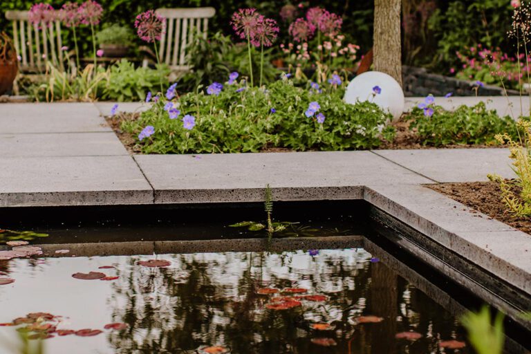 Teich- und Poolbau in Coesfeld, Münster und Umgebung