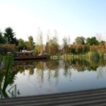 galabau_mlgartenplus_coesfeld_blog_naturpool_schwimmteich_2