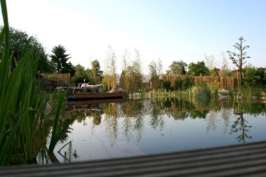 galabau_mlgartenplus_coesfeld_blog_naturpool_schwimmteich_2