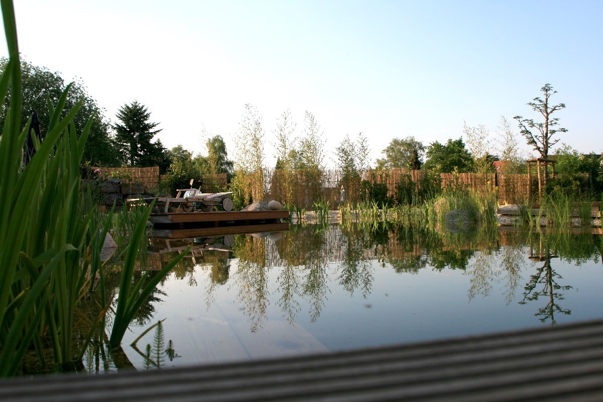 galabau_mlgartenplus_coesfeld_blog_naturpool_schwimmteich_2