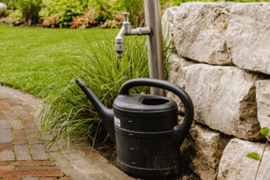 GaLaBau_ML_Garten_Plus_Bild_Richtige Bewässerung