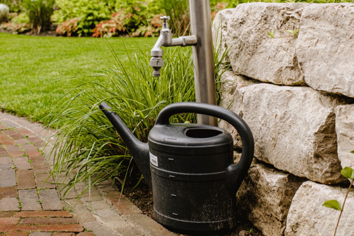 GaLaBau_ML_Garten_Plus_Bild_Richtige Bewässerung