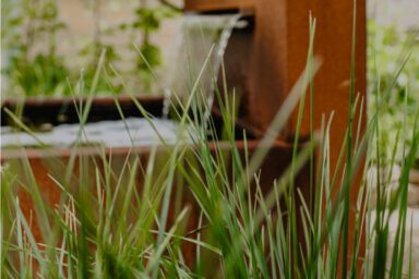ML Garten plus_Garten- und Landschaftsbau_Coesfeld_Gräser