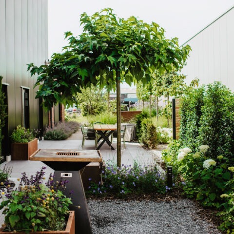 ML-GartenPlus_Galabau-Coesfeld_Artikel-quadratisch_Firmengarten_03