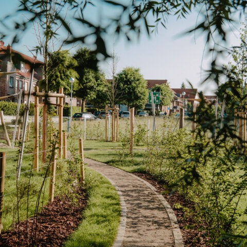 ML-GartenPlus_Galabau-Coesfeld_Themenwelt_Gewerblich_Oeffentlich_Arche_06