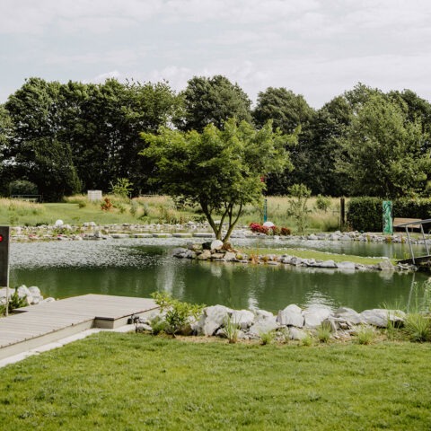 ML-GartenPlus_Galabau-Coesfeld_Themenwelt_Naturpool_Schwimmteich_Neuenkirchen_01