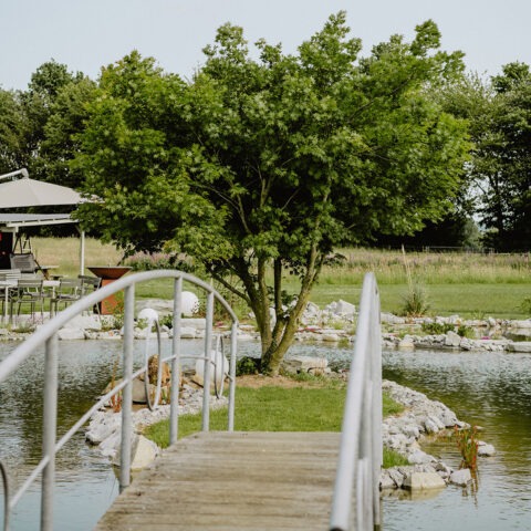 ML-GartenPlus_Galabau-Coesfeld_Themenwelt_Naturpool_Schwimmteich_Neuenkirchen_03