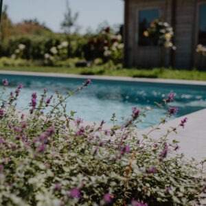 ML-GartenPlus_Galabau-Coesfeld_Themenwelt_Wassergarten_boeckenberg01