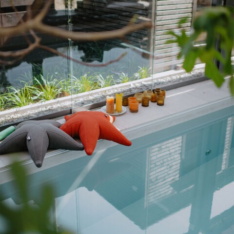 ML-GartenPlus_Galabau-Coesfeld_Referenzen_Wellnessgarten_MD-Future_Indoor-Pool