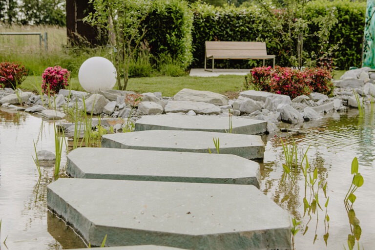 ML-GartenPlus_Galabau-Coesfeld_schwimmteich_bepflanzung