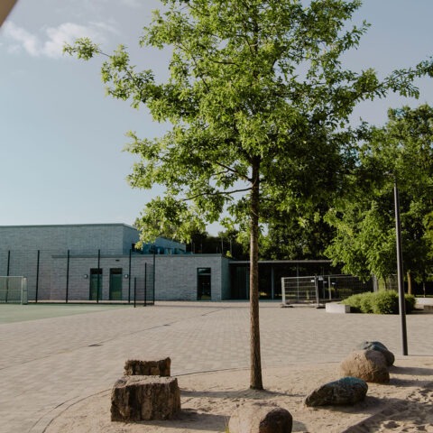 ML+_Referenzen-schulhof-wolbeck-2026-quadrat-003